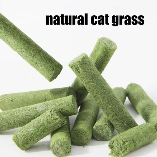 Cat Grass Teething Stick Grass Treats Cat Teething Sticks Edible Cat Chew Toys for Teeth Cleaning Cat Treat Sticks for Indoor
