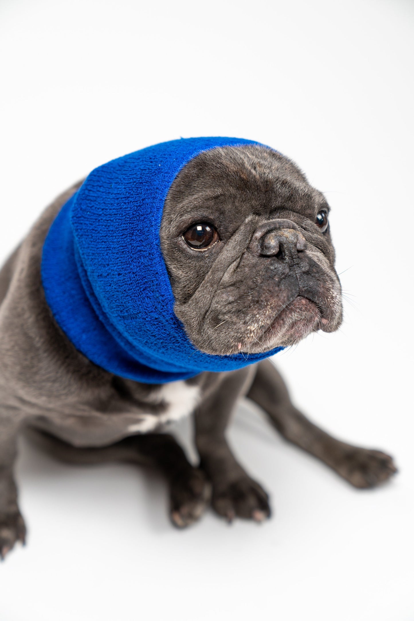 Pet Hoodz for Dogs-Anxiety, Grooming, Ear Muffs, Dog Ear Protection, Calming, Ear Compression, Pet Hoodie, Dog Hoodie